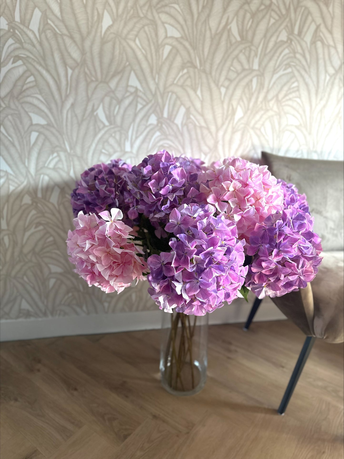 Hortensia s
