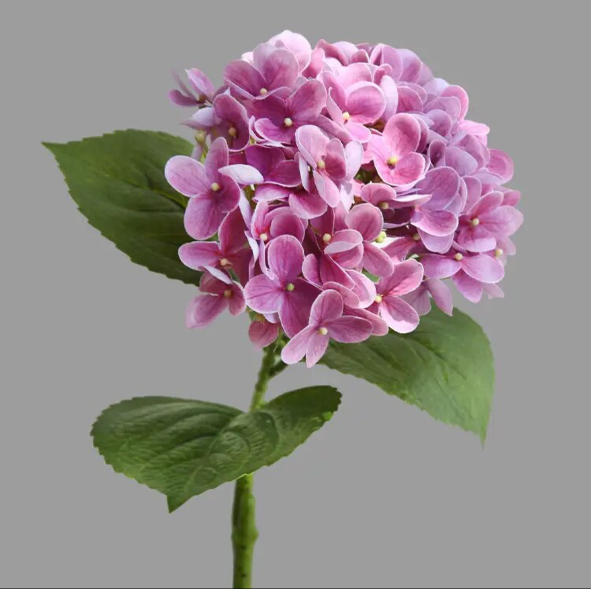 Hortensia roze, real touch bloem