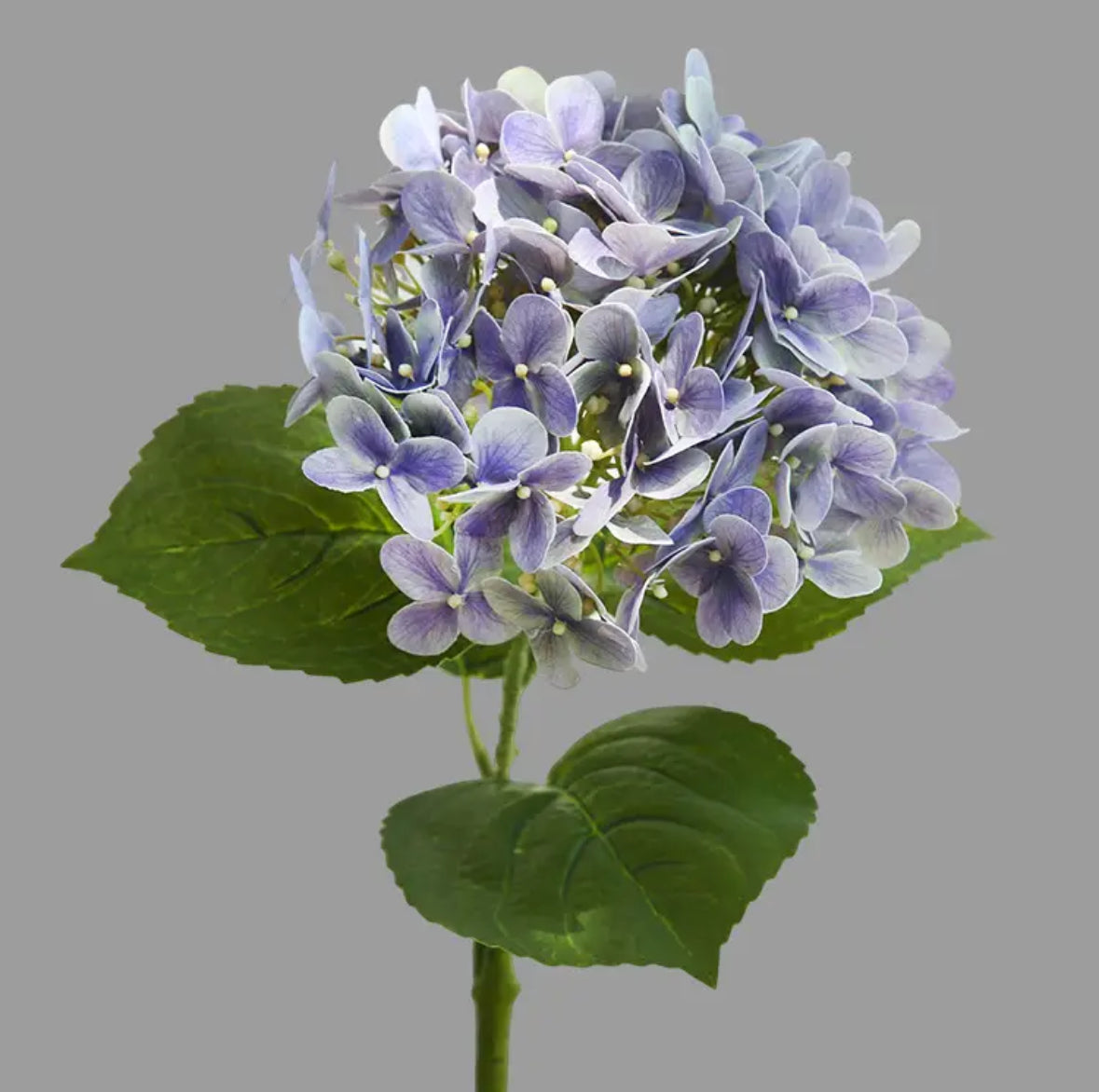 Hortensia licht blauw, real touch bloem