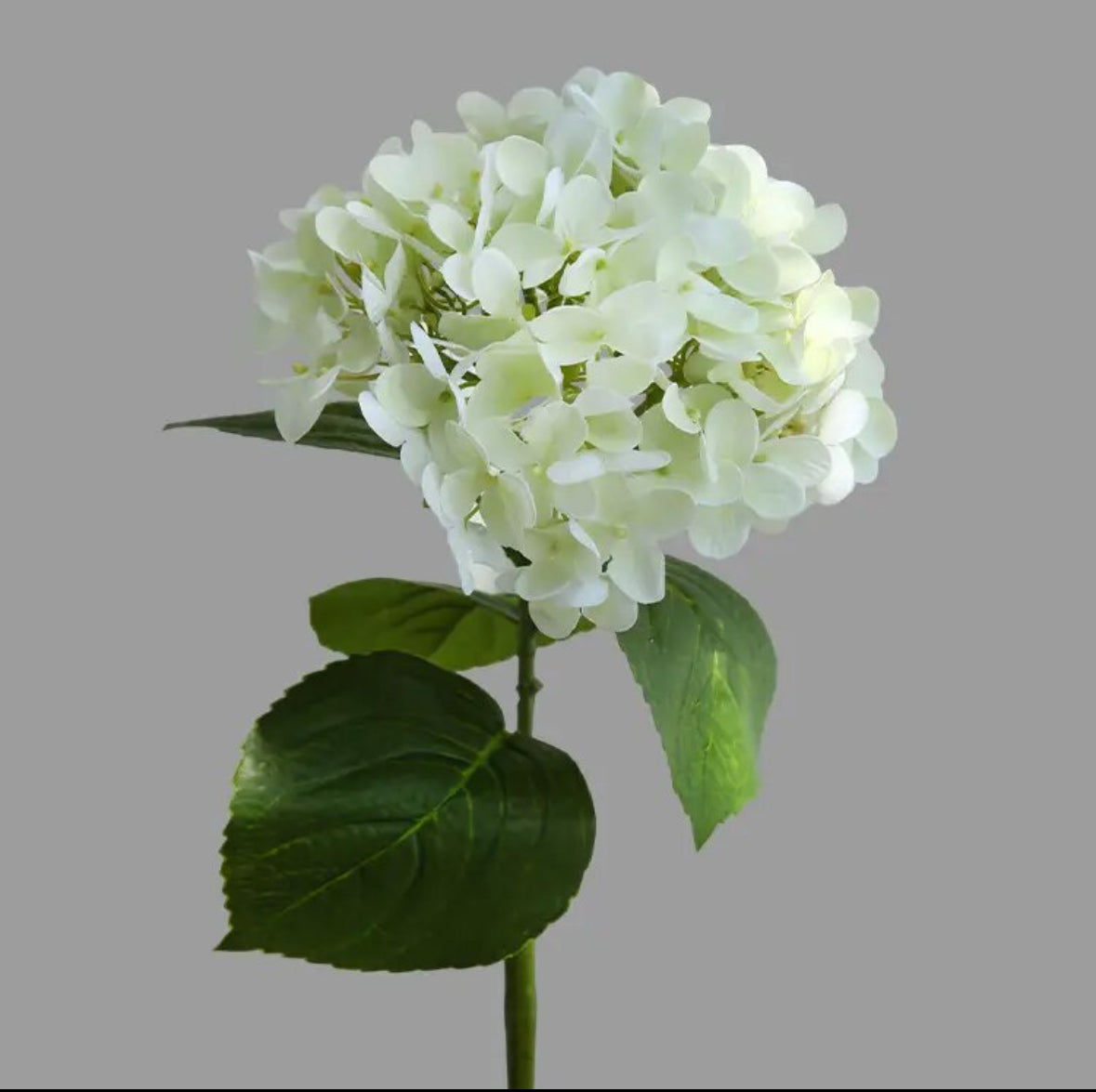 Hortensia wit, real touch bloem